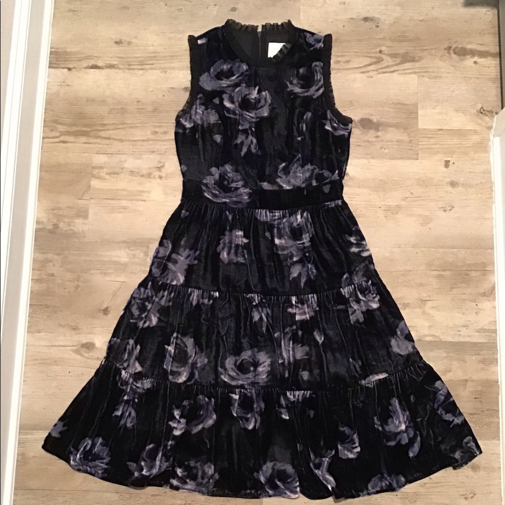Kate Spade Night Rose Velvet Dress